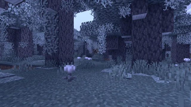 Eyeblossom grove